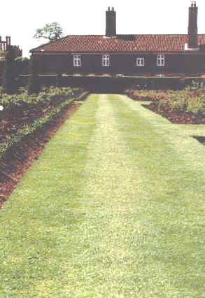trawnik w Hampton Court Palace
